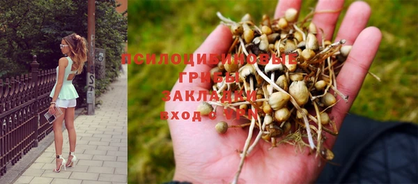 бошки Михайлов