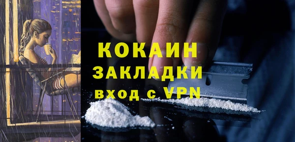 ПСИЛОЦИБИНОВЫЕ ГРИБЫ Белая Холуница