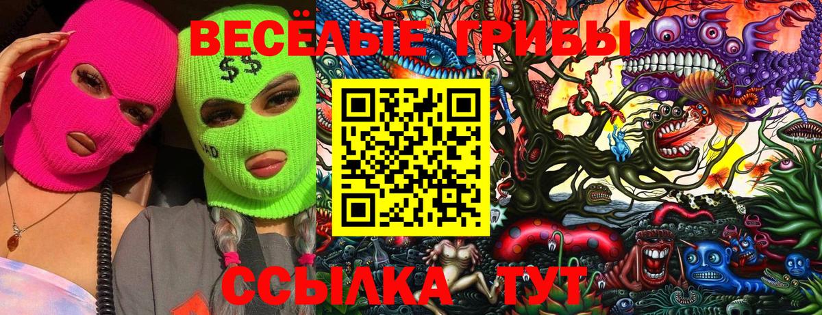 Псилоцибиновые грибы ЛСД  Псилоцибиновые грибы прущие грибы  Пенза  магазин    Вход с VPN 