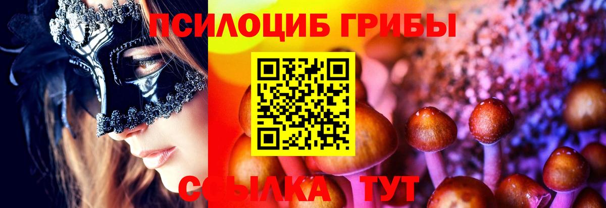 Псилоцибиновые грибы прущие грибы Пенза