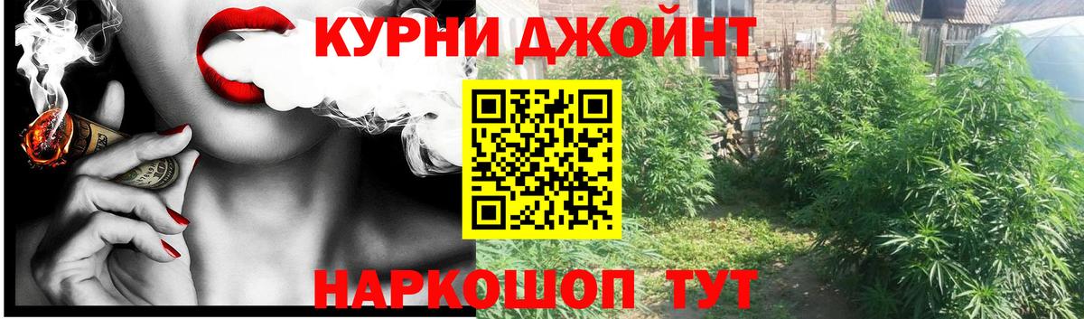 Канабис гибрид  Марихуана планчик  Пенза 